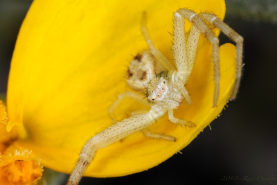 Click here to view at full resolution.