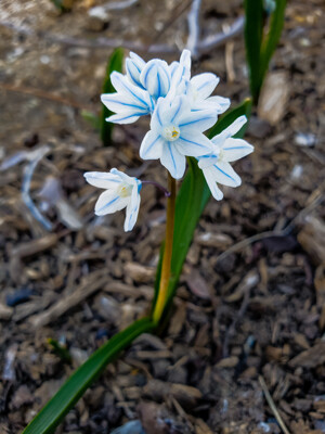 Click here to view at full resolution.