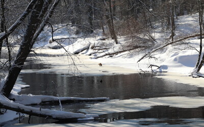 Click here to view at full resolution.