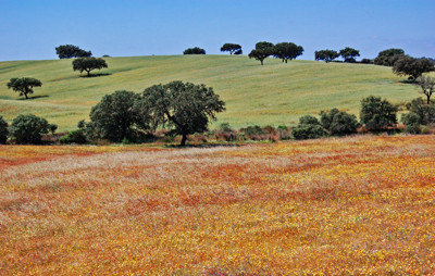 Click here to view at full resolution.