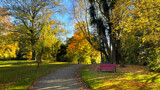 Autumn In The Park #8 by LynEve, photography->landscape gallery