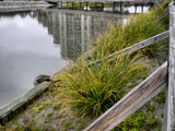 Condo Reflection by amishy, photography->water gallery