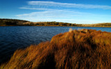 Alpine Lake and Long Grass by Mythmaker, Photography->Landscape gallery