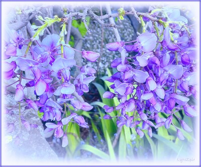 Click here to view at full resolution.