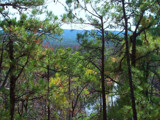 Country Woods &amp; Pond by RenieRenee, Photography->Landscape gallery