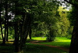 bench and nature by gaeljet2, Photography->Landscape gallery