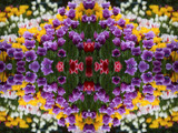 Spring Teaser #9 by HylianPrincess1985, Abstract->Fractal gallery