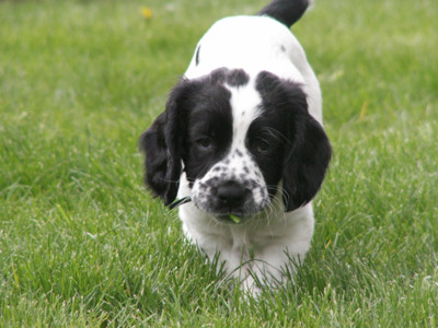 Click here to view at full resolution.