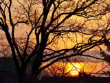 Sunrise Over The Roofs by Ramad, photography->sunset/rise gallery