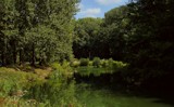 parc du heron 4 by gaeljet2, photography->shorelines gallery