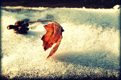 Click here to view at full resolution.