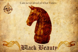 Black Beauty by Kevin_Hayden, Illustrations->Traditional gallery