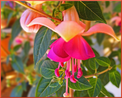 Click here to view at full resolution.