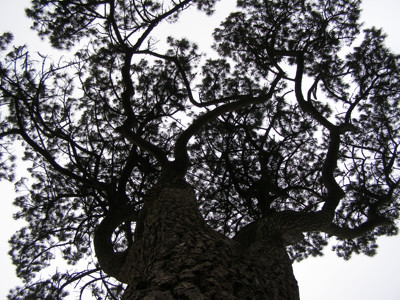 Click here to view at full resolution.