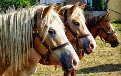 Click here to view at full resolution.