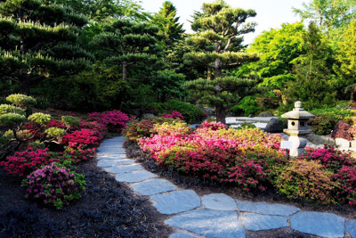 Click here to view at full resolution.