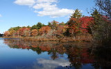 Fall Woods by Tomeast, photography->shorelines gallery