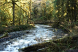 Dream of Barnes Creek by TrailGypsy, Photography->Manipulation gallery