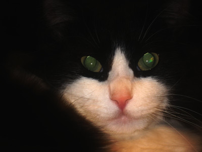 Click here to view at full resolution.