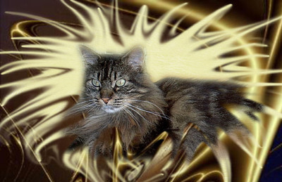 Click here to view at full resolution.