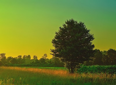 Click here to view at full resolution.