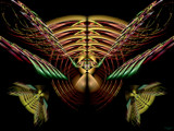 As A Hen Gathereth Her Chicks........ by Flmngseabass, Abstract->Fractal gallery