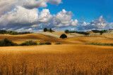 Dry by Rahjure, photography->landscape gallery