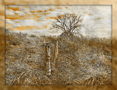 Click here to view at full resolution.