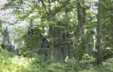 Castle in Woods by avedeloff, Photography->Castles/Ruins gallery