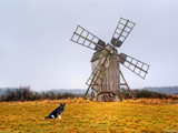 Elli &amp; the windmill by Junglegeorge, Photography->Landscape gallery