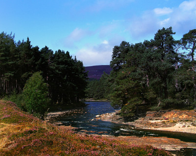 Click here to view at full resolution.