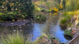 Autumn Walk 6 by LynEve, photography->birds gallery