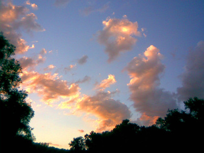 Click here to view at full resolution.