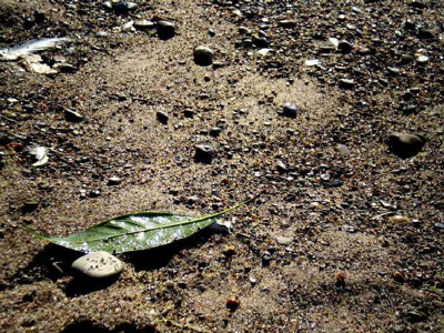 Click here to view at full resolution.