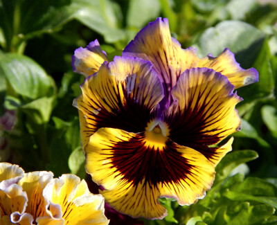Click here to view at full resolution.