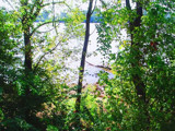 Peeking Through The Trees by RenieRenee, Photography->Shorelines gallery