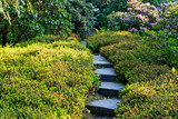 Up The Steps by Ramad, photography->gardens gallery
