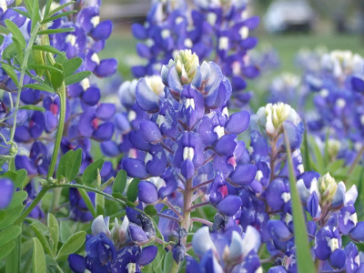 Click here to view at full resolution.