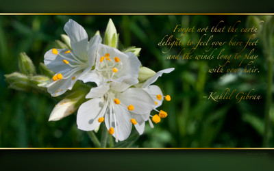 Click here to view at full resolution.