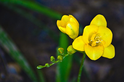 Click here to view at full resolution.