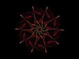 Year of the Dog by Hottrockin, Abstract->Fractal gallery