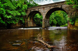 Gibside Bridge by biffobear, photography->bridges gallery