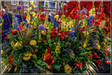 Spring Foofies 07 by corngrowth, photography->flowers gallery