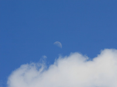 Click here to view at full resolution.