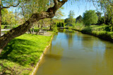 Ducks' Haven by Ramad, photography->gardens gallery