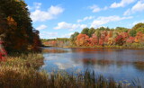 Autumn Cool by Tomeast, photography->nature gallery