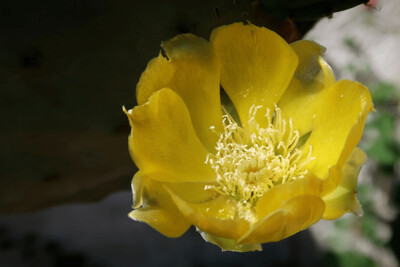Click here to view at full resolution.