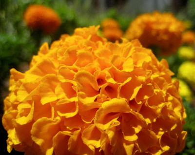 Click here to view at full resolution.