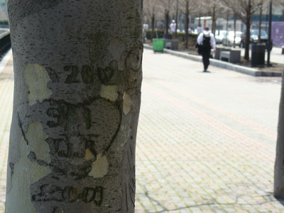 Click here to view at full resolution.