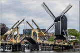 Leiden 08 by corngrowth, photography->mills gallery